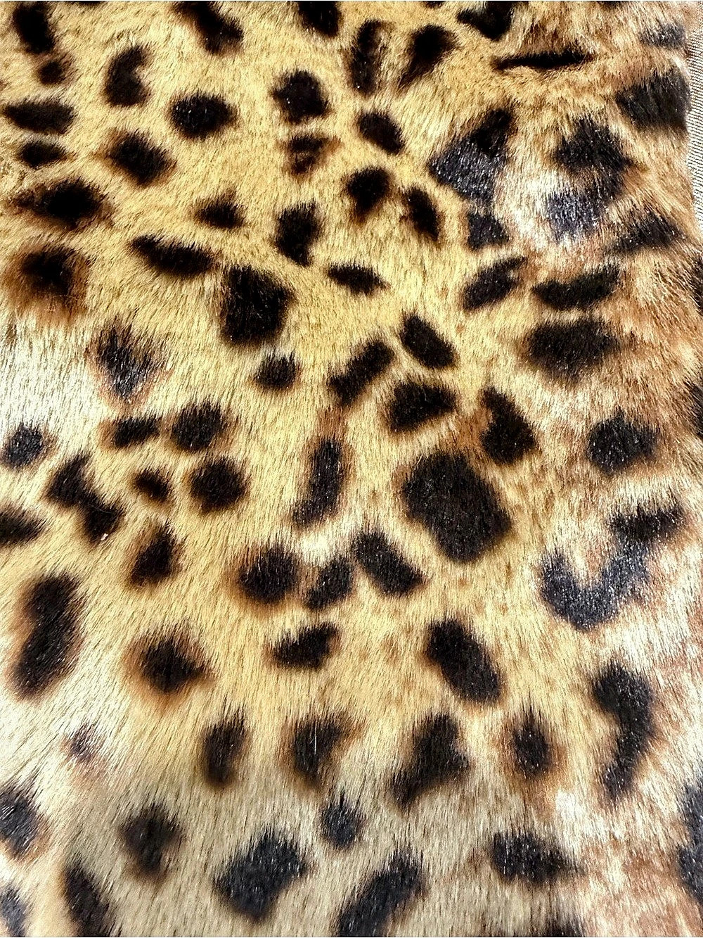 Preston & York Leopard Print Faux Fur Jacket Medium - Picture 4 of 5